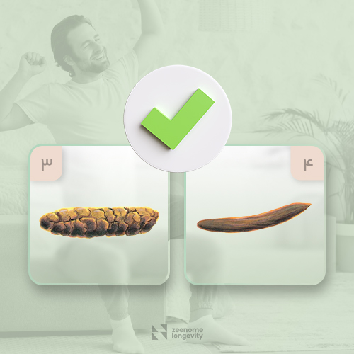 شکل مدفوع سالم انسان چگونه است