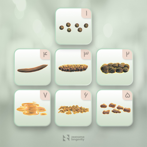 انواع مدفوع به چه شکل است