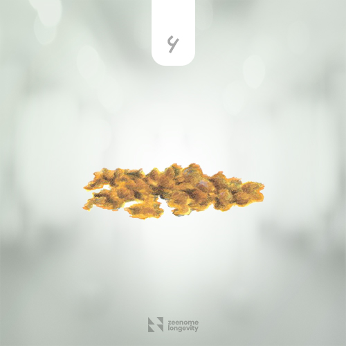 نمونه مدفوع ناسالم، اسهال خفیف