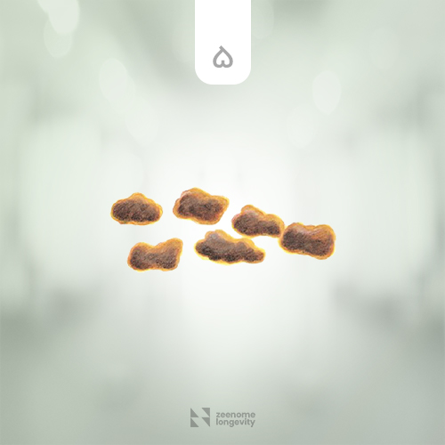 نمونه مدفوع ناسالم، به حالت اسهالی