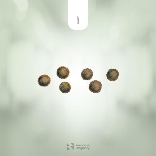 شکل مدفوع تکه تکه انسان و نشانه یبوست شدید