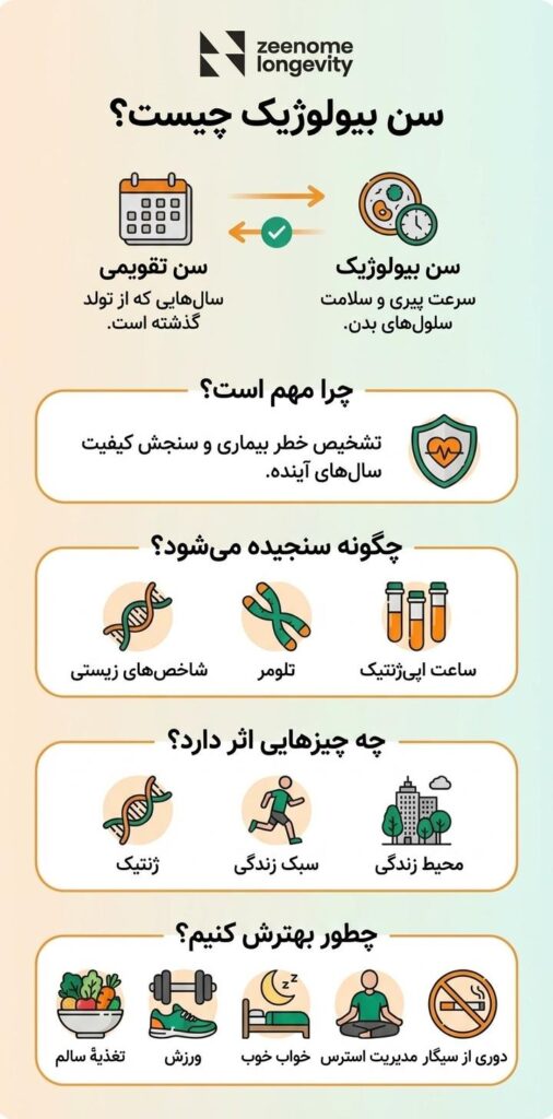 سن بیولوژیک چیست و چرا مهم است