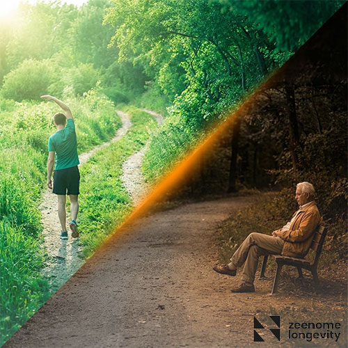 منظور از طول عمر سلامت چیست