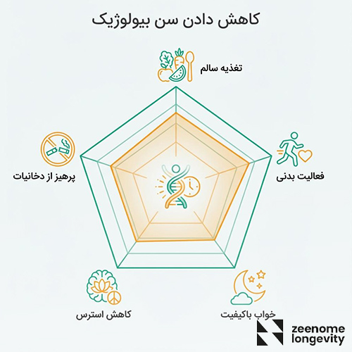 سن بیولوژیک چیست و آیا می توان آن را کاهش داد؟
