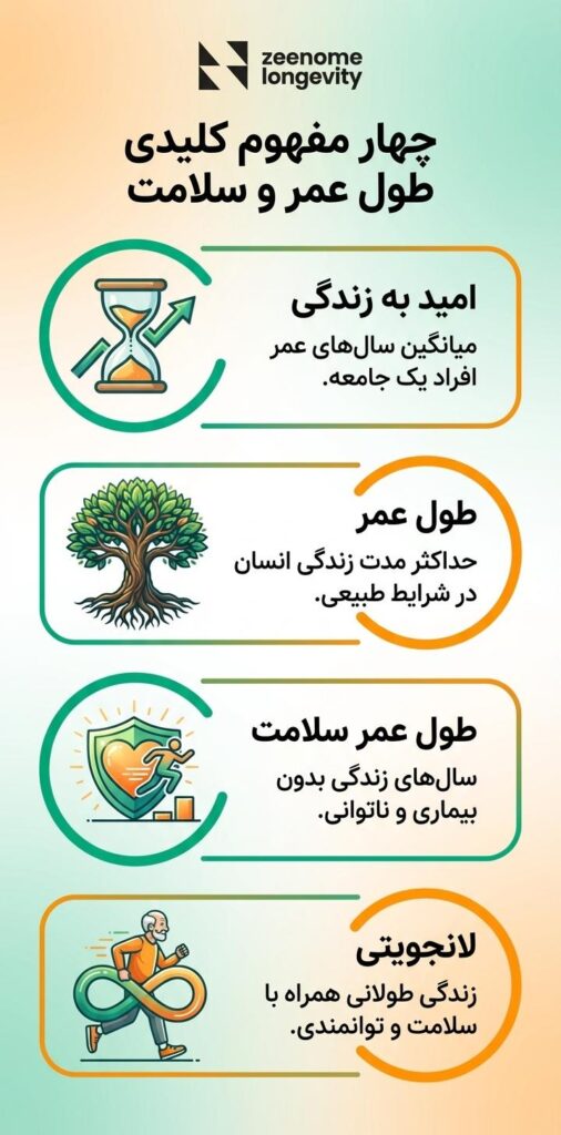 اینفوگرافی چهار مفهوم کلیدی طول عمر و سلامت