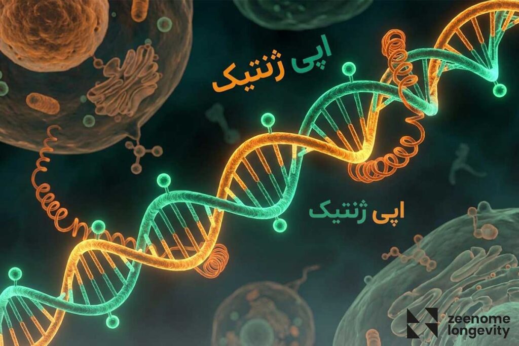 اپی ژنتیک چیست