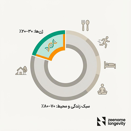 نقش ژنیتک در لانجویتی چقدر است