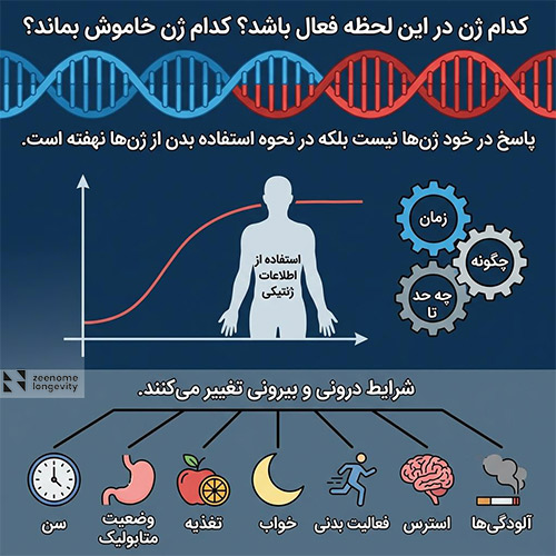 اپی ژنتیک چیست و ژن ها چگونه خاموش یا روشن می‌شوند