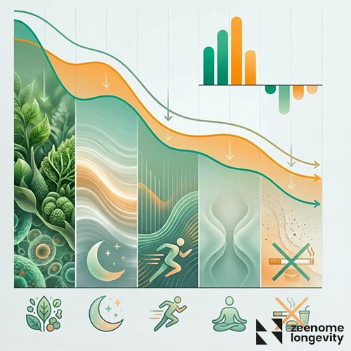 نقش محیط و سبک زندگی در زیست شناسی پیری