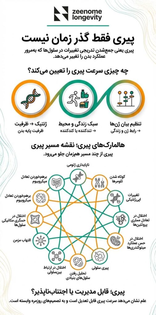 زیست شناسی پیری و آنچه سرعت پیری را کند یا تند میکند