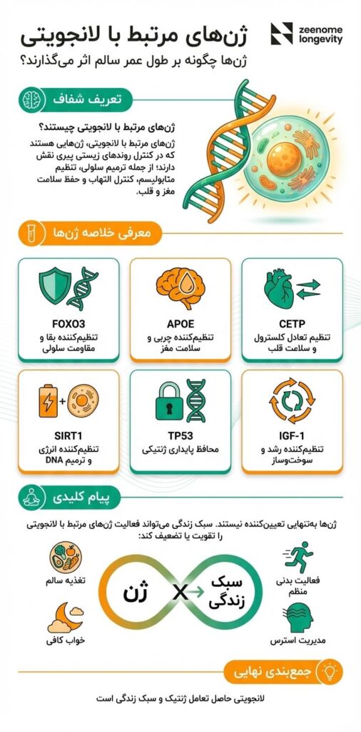ژن های لانجویتی چیست و چگونه بر افزایش طول عمر سالم اثر میگذارد؟