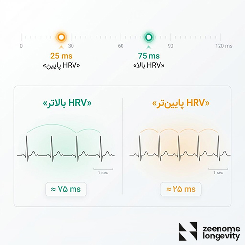 hrv باید چند باشد