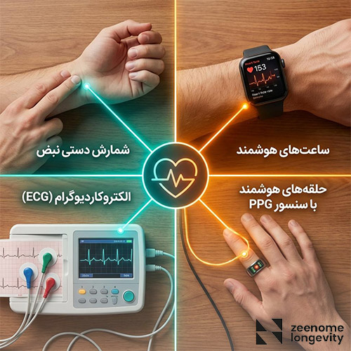 ابزارهای اندازه گیری ضربان قلب در حالت استراحت