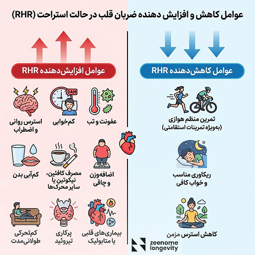 علت پایین یا بالا رفتن ضربان قلب در حال استراحت چیست