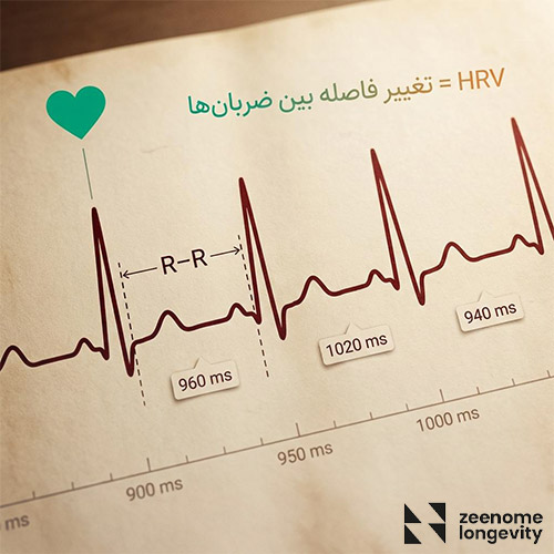مفهوم HRV چیست